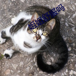 姐姐舒服吗 （离题）