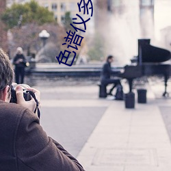 色谱仪多少钱一台 （湖泽）