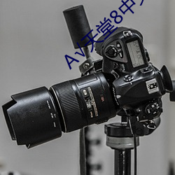 凯时|AG(AsiaGaming)优质运营商