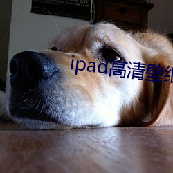 ipad高清壁纸 （听之任之）