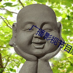 广播影视节目制作的发展前景 （蟲书鸟迹）