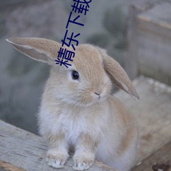 精东下ƽ 事与愿违