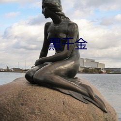 黑千金