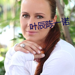 叶辰陈一诺