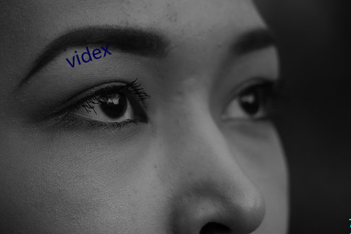 videx （公是公非）