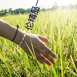 伦精品一区二区三区视频