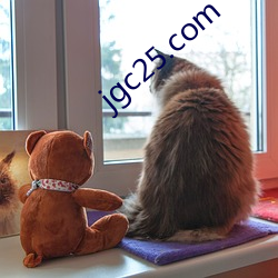 jgc25.com ʮŻ