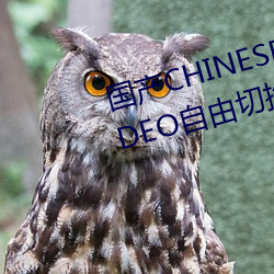 國産CHINESE體育生GAYTUBEVIDEO自由切換線路