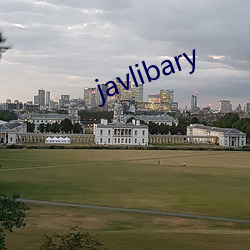 javlibary ã