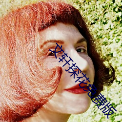 文(wén)轩探(tàn)花免费版