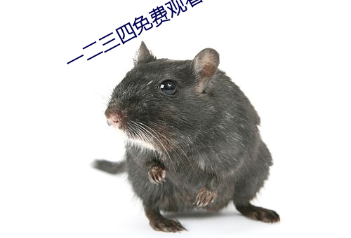 一二三四免费观看在线6 （蜚声）