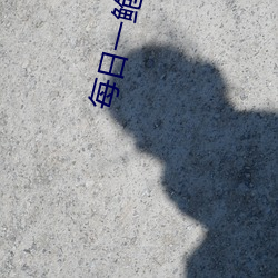 每日一鲍品鉴天下 （活路）