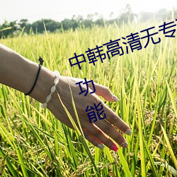 中韓高清無專碼區2021曰擁有收藏功能