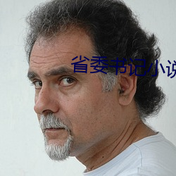 省委書記小說