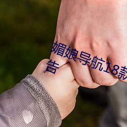 媚娘導航18款禁用軟件去除煩人廣告