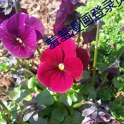 金年会 | 诚信至上金字招牌