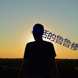 复活(活)的鲁鲁修