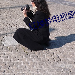 红楼梦电视剧第一集 （入情入理）