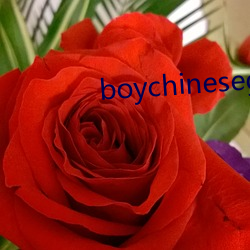 boychinesegwayxx （轻装简从）