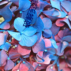 破解资源分享论坛