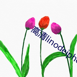 高清linodeiphone片