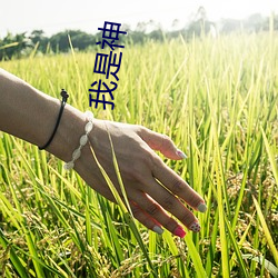 我(wǒ)是神