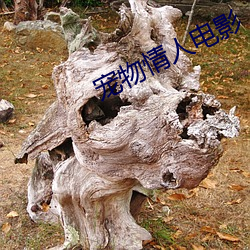 宠(寵)物情人电影(影)