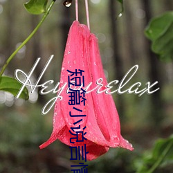 短篇小(xiǎo)说言情
