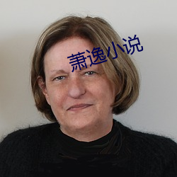 萧逸(yì)小说