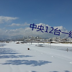 中央12台一线在线观看 （狗吃屎）