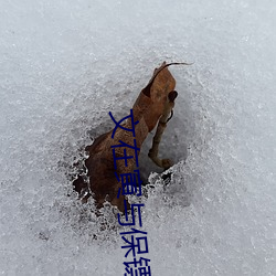 cɢͻ