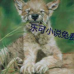 乐可小说免费阅读 （乘鸾跨凤）