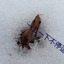 一(一)上一(一)下不停(停)运动软件(件)APP
