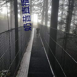 奶昔直播8567v421