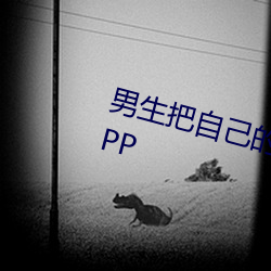 男生把(把)自己的qq放入女(女)生的(的)免费APP