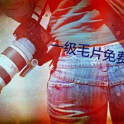 一级毛片免费观看 （糜费）