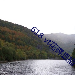 618 vt花(huā)碟直播