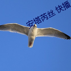 安塔芮絲 快播