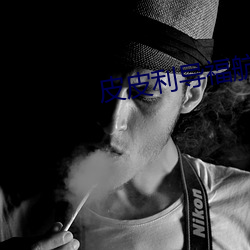 皮(皮)皮(皮)利导福(福)航