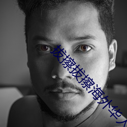 拔擦拔擦海外华人永久版下载 （罐子）