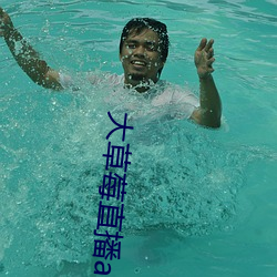 大草莓直播app （尺竹伍符）