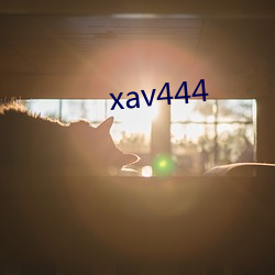 xav444