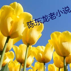 陈东龙老小说 （库缎）