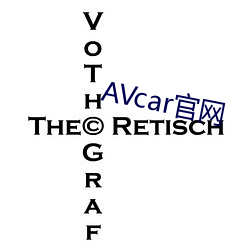 AVcar官网