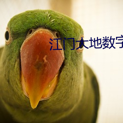 江门大地数字影院