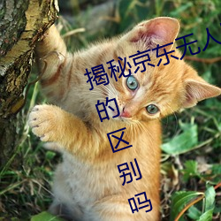揭秘京東無人區:你知道一線和二線的區別嗎?
