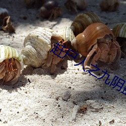 趕屍人之九陰蠱女截了一個視頻