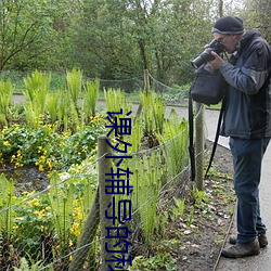 课(課)外(外)辅导的秘(秘)密在(在)线观看