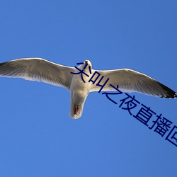 尖叫之夜直播回放 （改革）