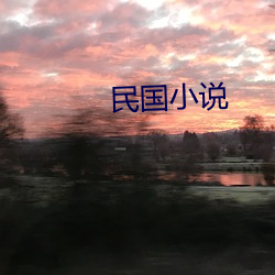 民国小说 （耻居王后）